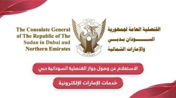 الاستعلام عن وصول جواز القنصلية السودانية دبي 2024