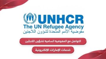 التواصل مع المفوضية السامية لشؤون اللاجئين